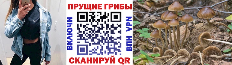 Псилоцибиновые грибы MAGIC MUSHROOMS  Грязи 